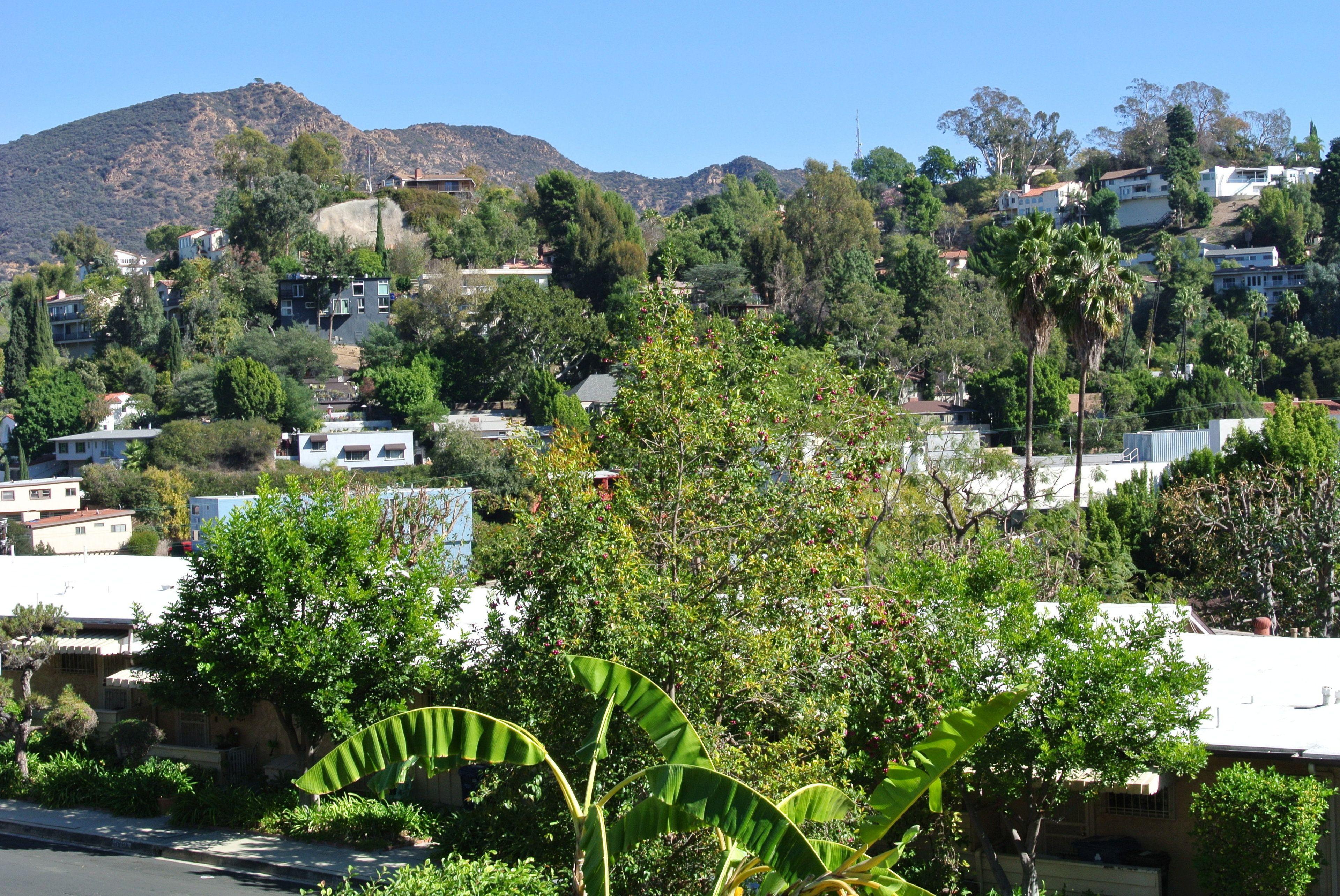 Bed And Breakfast In Hollywood Hills — Photos 2